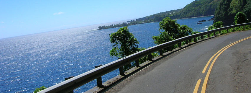 Spring Came Early! 60" Wide Material On National Backorder...